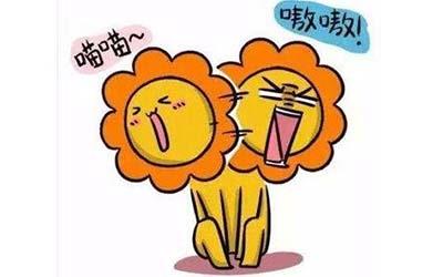 白羊座与狮子座适合恋爱吗