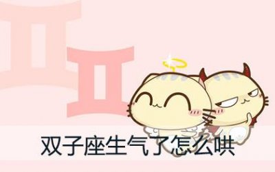 ​双子座生气难过时怎么才能哄好