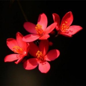 ​摩羯座男生说从普通朋友开始的言外之意