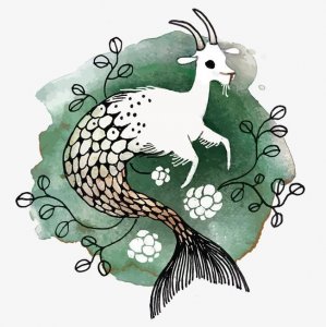 ​摩羯座最讨厌的星座，绝不和他做朋友