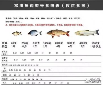 ​「收藏」一张图告诉你钓多大的鱼用多大的钩！