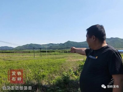 ​金霖绿化公司：做好绿化工程 让靠山苗木卖得更远