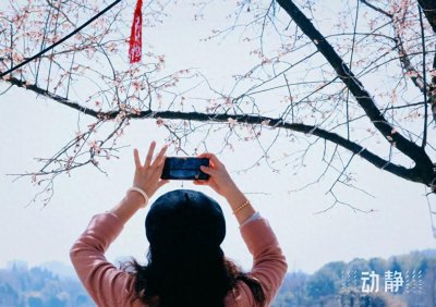 ​贵阳观山湖公园：花语鸟鸣共谱春日序曲