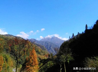 ​原始森林覆盖，露营烧烤玩水——崇州鸡冠山！