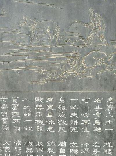 丘八文化（丘八的典故）