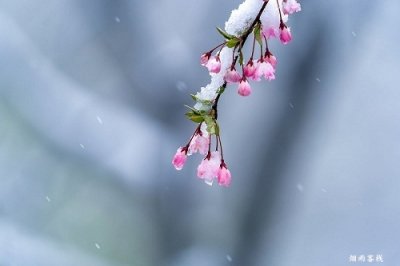​10首春天下雪的唯美诗词（形容春天下雪的句子）