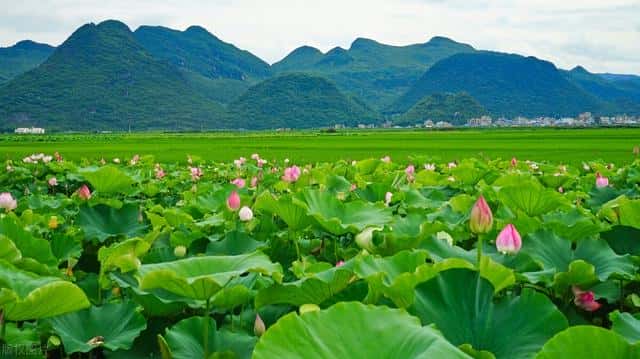 云南5a景点大全（云南5a景区有哪些）