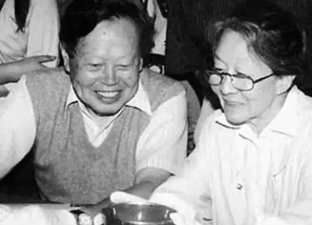 翁帆怀孕大肚的图片真的吗（杨振宁翁帆牵手18年）