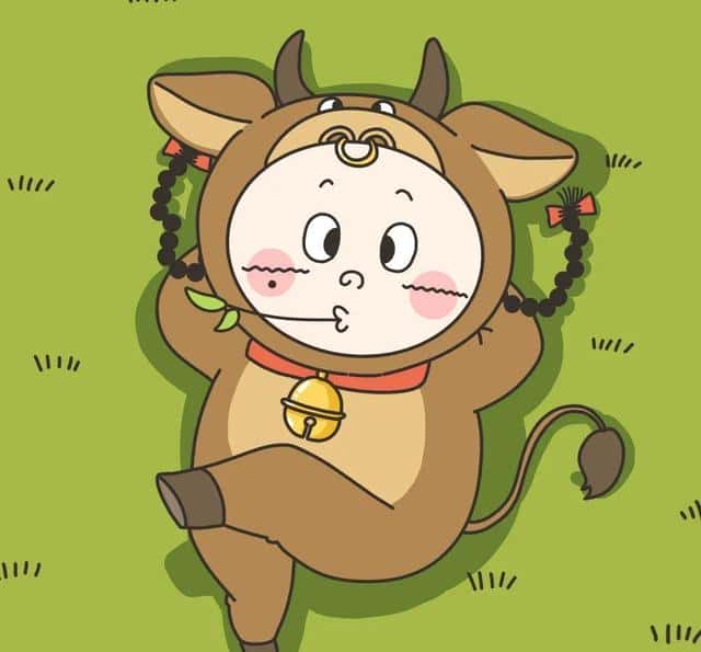 属牛男人感情上的弱点（属牛人最致命的缺点）
