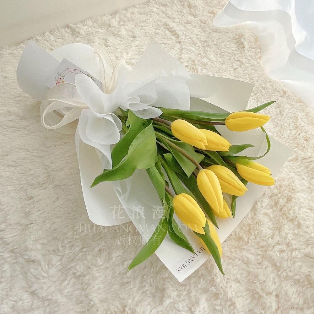 郁金香的寓意和象征(郁金香花语和寓意)