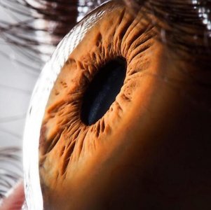 人的眼睛,相当于多少万像素的相机?