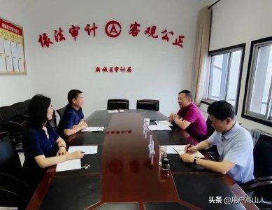 在县里审计局和国资局两个单位,哪个好,有什么优劣势?