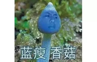 2016年十大网络流行语,你“懂”几个?