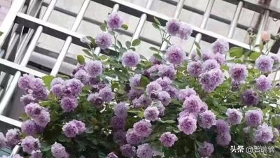 ​全球超级计算机500强：中国以217台位列第一