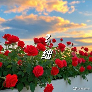 ​＂绌＂怎么读?什么意思?相形见绌啥意思？今天聊聊这个扎心又实在字