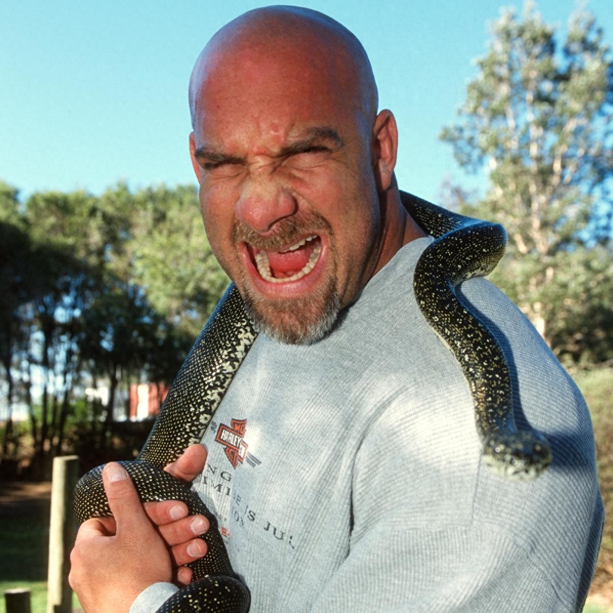 美图福利：一大波战神高柏的珍藏照片来袭