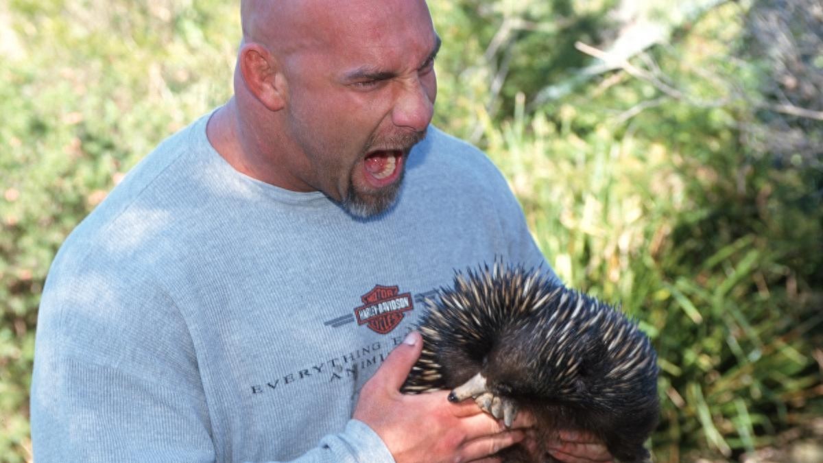 美图福利：一大波战神高柏的珍藏照片来袭