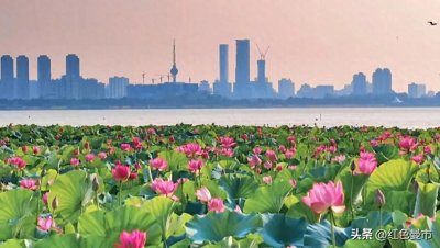 ​重点发展徐州市，江苏省目前很难做到