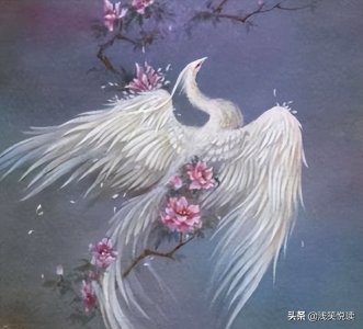 ​一条腿的动物你见过吗？