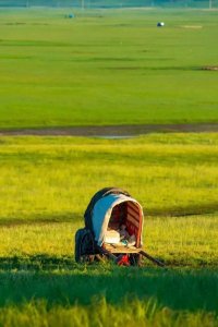 ​中国最美的十大草原，你都去过哪几个，还知道有哪些？