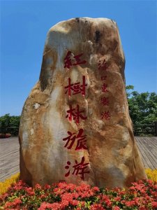 ​说说含“小”字的成语大世界