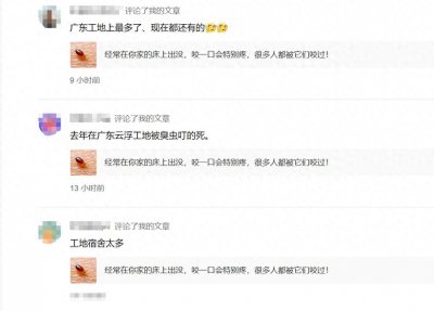 ​都说臭虫是广东特产，你还别不信，广东工地上的网友深受其害！