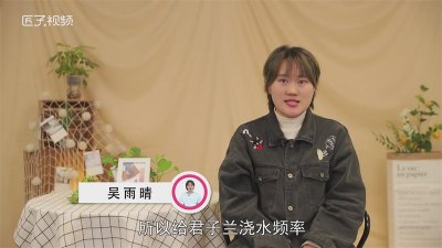 ​君子兰多久浇一次水