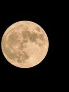 ​日什么月(日什么月异成语)