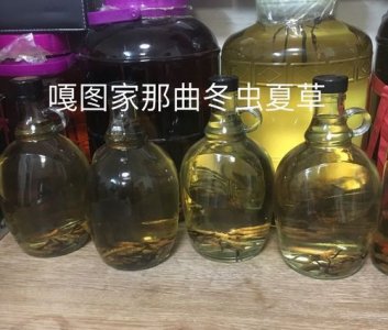 ​虫草酒的泡制 *** (虫草酒怎么喝)