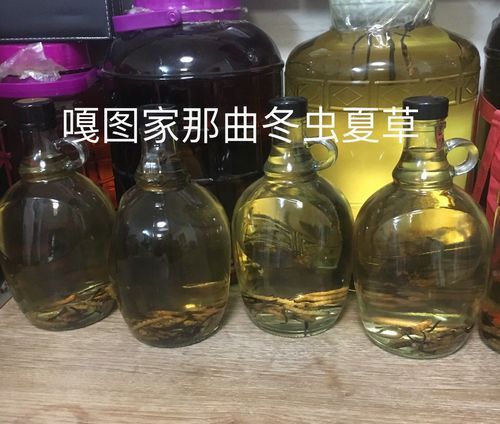 虫草酒怎么泡制