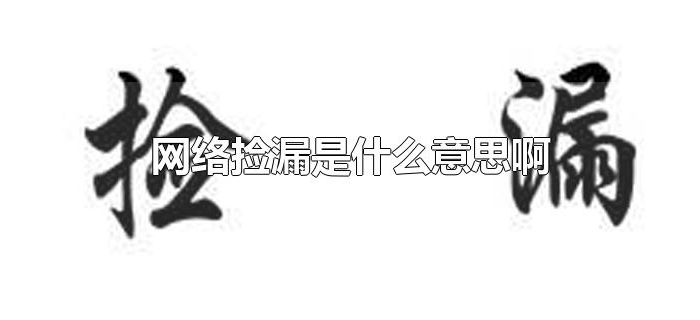 网络捡漏是什么意思啊