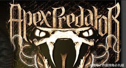 WWE巨星十大最为帅气的LOGO，看起来都极具设计感！