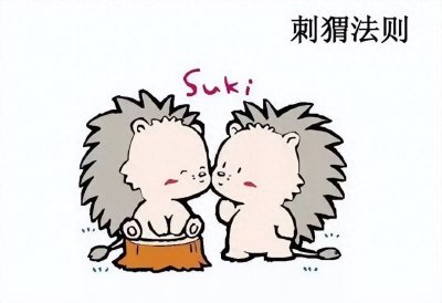 ​神秘的八大理论之“刺猬法则”！