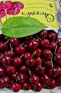 ​国产樱桃接棒上市 水果价格“天花板”登场