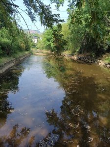 ​端午假期值得一去的冷门古镇，人为痕迹少，资中罗泉古镇一眼心动