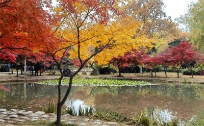 ​隋唐让人心醉的地方