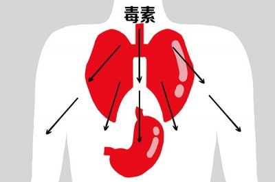 ​足贴、辟谷并不排毒，戳穿排毒养生的3个骗局，别再花冤枉钱了