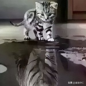 ​京城四大名医之——施今墨