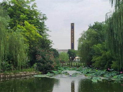 ​西安周边·茯茶小镇