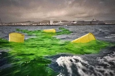 ​我国每年产出3500吨核废料，占全球的三分之一，如何解决