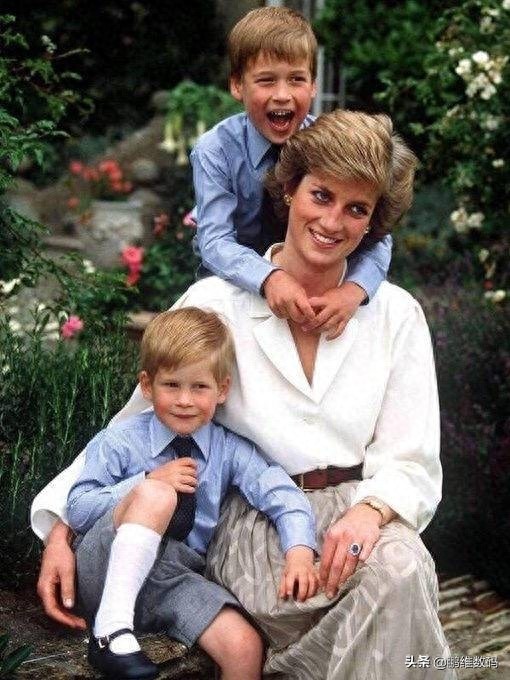 威廉王子居然也是“衬衫控”？少年时穿格纹衬衫儒雅，尽显绅士范