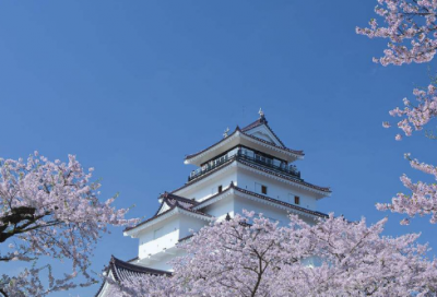 ​梦见蘑菇