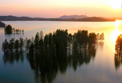 ​梦见山坡