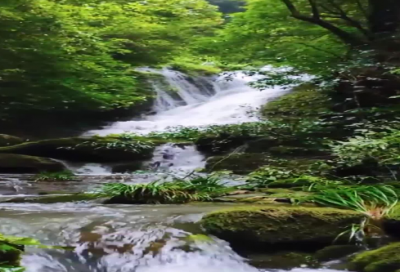 ​梦见海水暴涨
