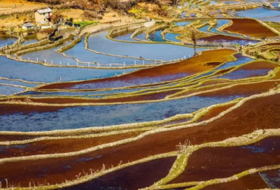 ​梦见潮水