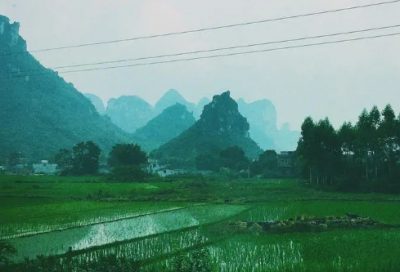 ​梦见潮汐
