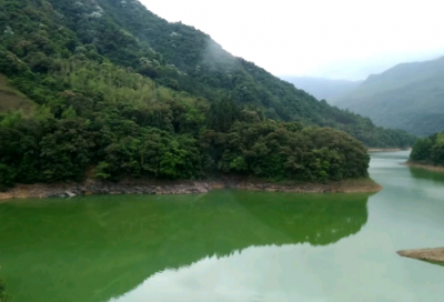 ​梦见春天细雨