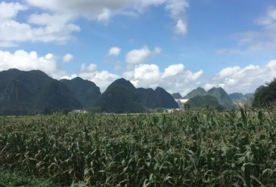 ​梦见和女友横穿山洪