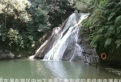 ​梦见春天的景象