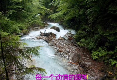 ​梦见旱灾
